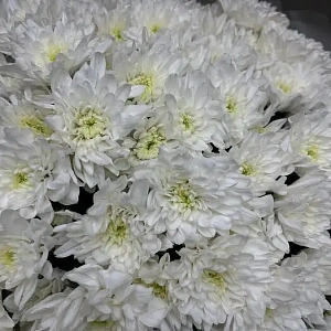 Букет первый снег - фото-2