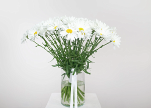 Букет белая искренность