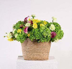 Букет аромат леса