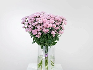 Букет розовая нежность