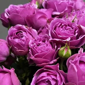 Букет сиреневое очарование - фото-2