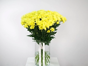 Букет сияние дня