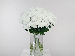 Букет снежная свежесть