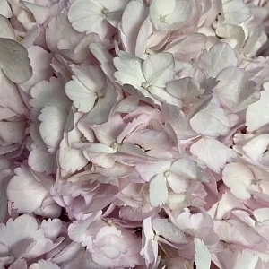 Букет пудровая мечта - фото-1