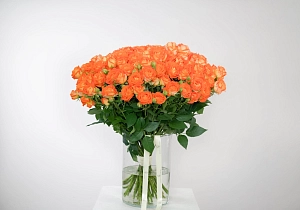 Букет апельсиновая свежесть