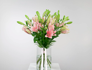 Букет рассветное прикосновение