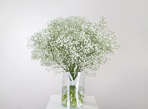 Букет белоснежное облако - фото-0