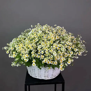 Букет солнечное настроение