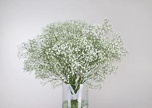 Букет белоснежное облако - фото-1